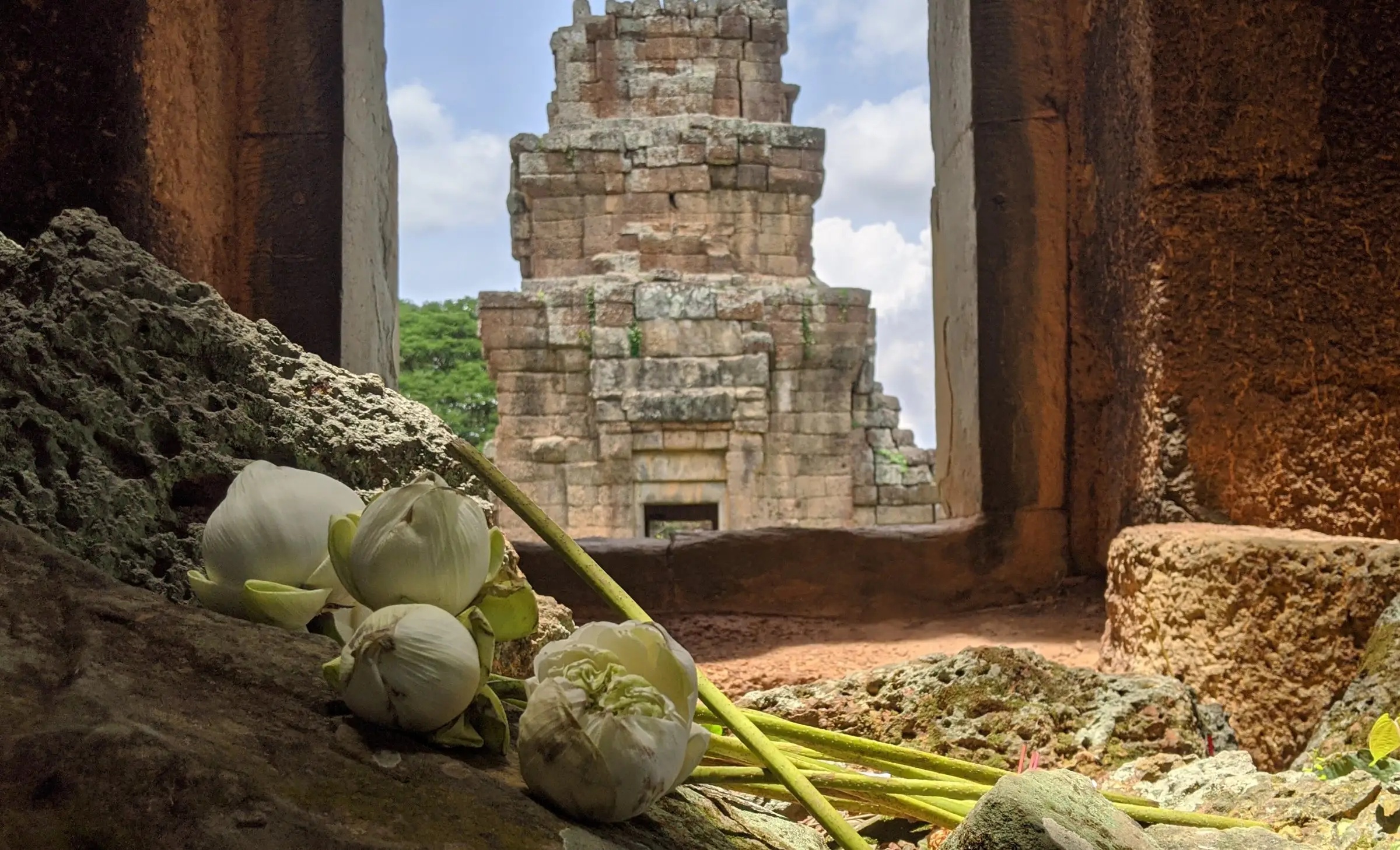 Lotus flowers at a temple doorway